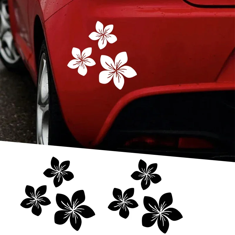 Various Colors Pretty Flower G - Weight Plate Bumper บทวิจารณ์และราคา