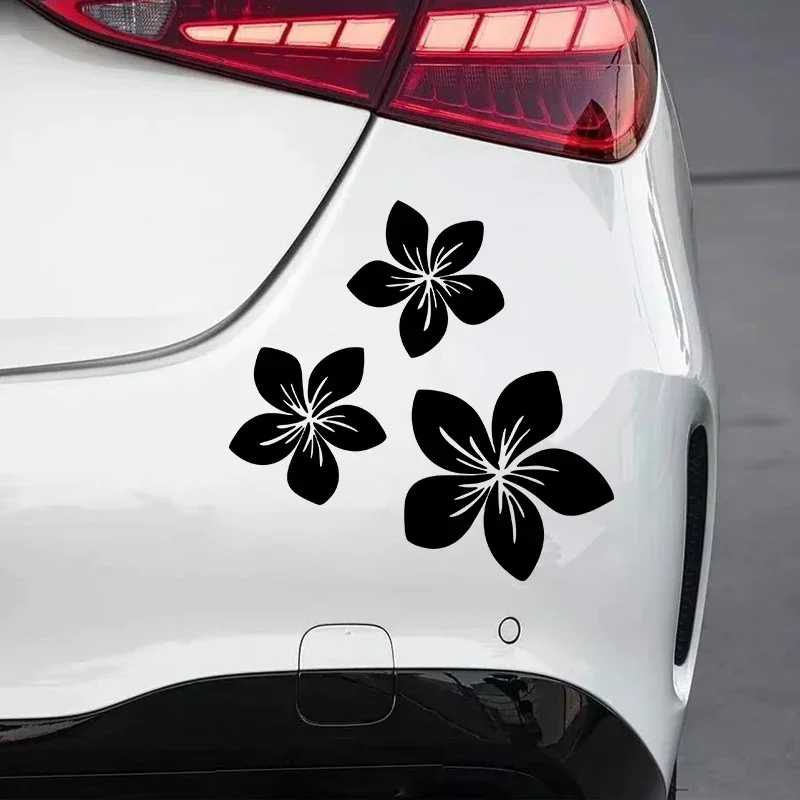 Various Colors Pretty Flower G - Weight Plate Bumper บทวิจารณ์และราคา