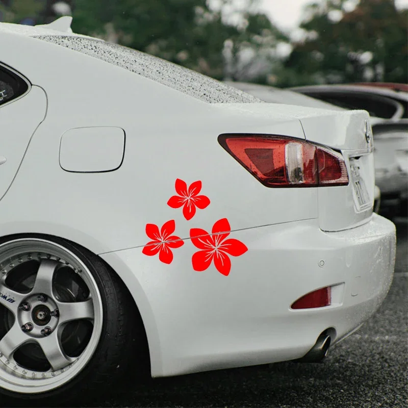 Various Colors Pretty Flower G - Weight Plate Bumper บทวิจารณ์และราคา